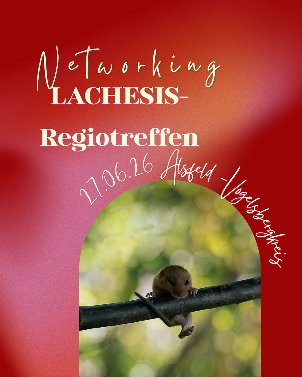 Regiotreffen Alsfeld