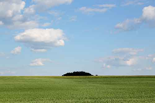Landschaft (c) Frederike Müller