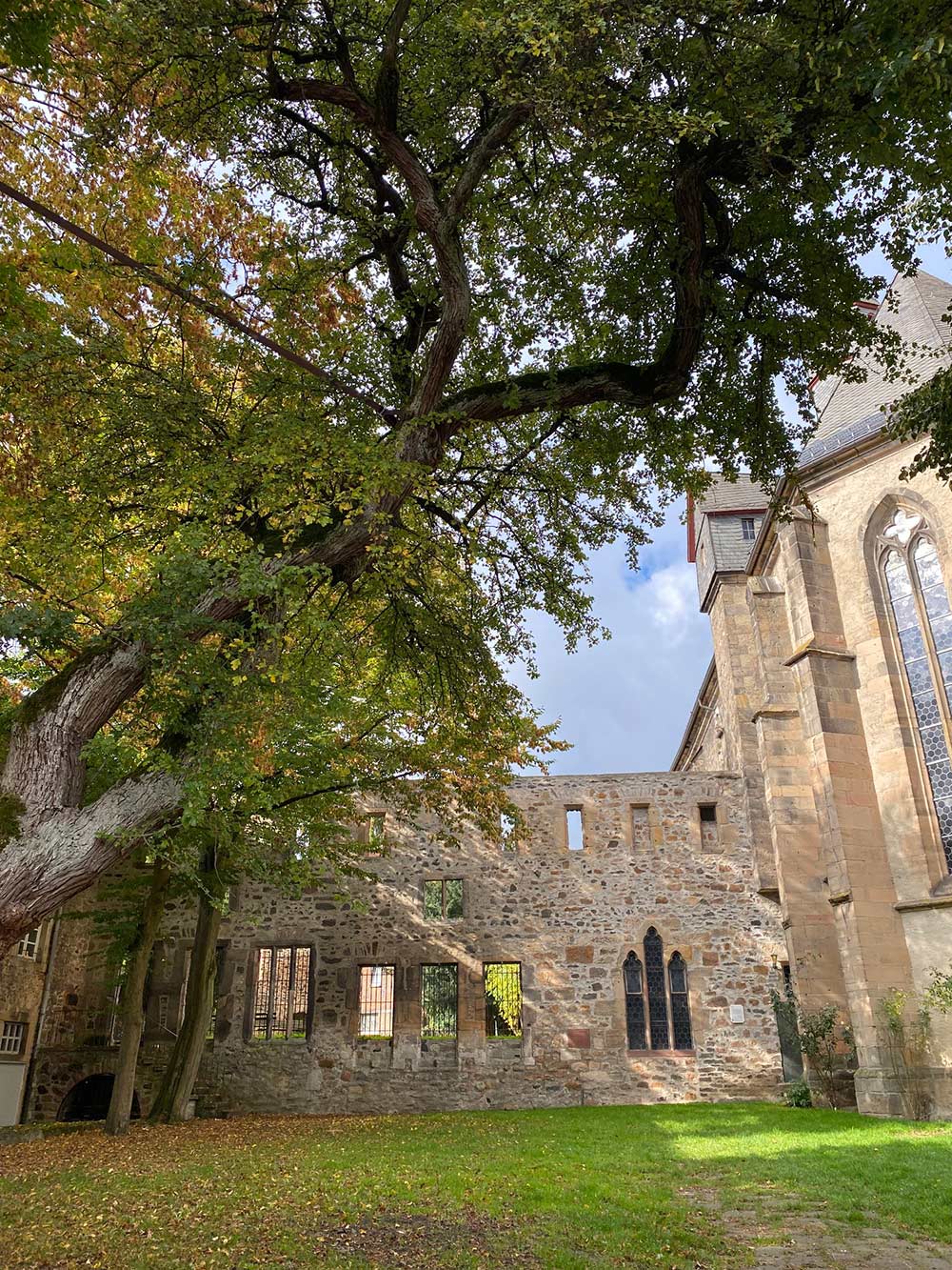 Klosterruine Alsfeld - Bild von Heike Brunner